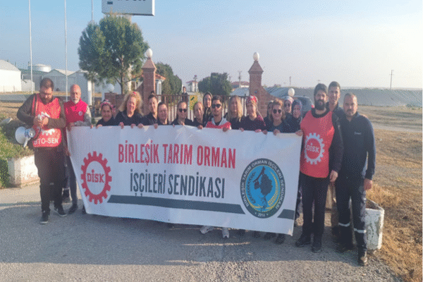 Queen Çiçeklerinden Yeşil Aklama: Şirin Çiçekler için Sert Tehditler